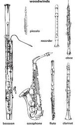 Woodwind Instrument Care